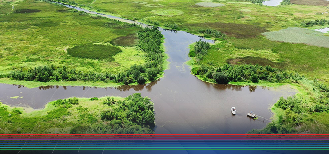 Pecan Island, Louisiana overview