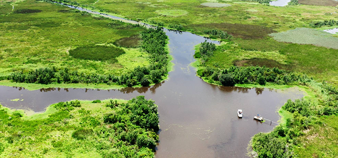 Pecan Island, Louisiana overview